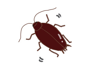 Illustration of a cockroach moving and moving