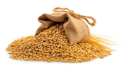 A burlap sack filled with grains spilling onto the surface