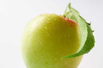 梅の実　白バックで