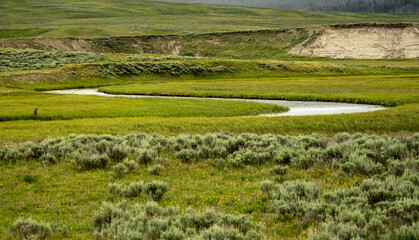 Obraz premium Trout Creek Ambles Through Hayden Valley In Yellowstone