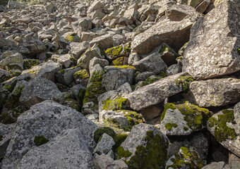 stone wall with moss and stones