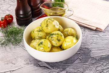 Young boiled potato with dill