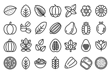 Fototapeta premium Collection of line icons depicting nuts seeds beans and walnuts isolated on transparent background