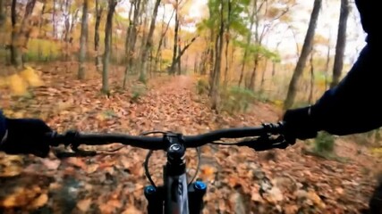 Autumn mountain bike ride forest trail pov - Powered by Adobe