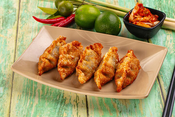 Asian fried stuffed dumplings gyoza