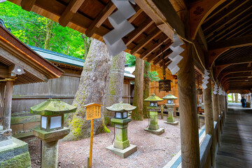 長野県 諏訪大社の風景