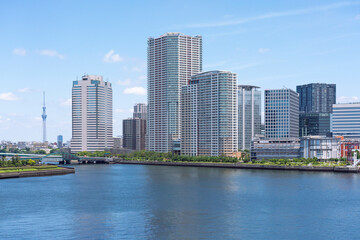 Fototapeta premium 晴れた日の東京・豊洲ぐるり公園