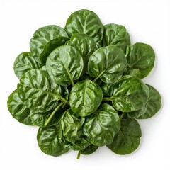 Obraz premium spinach leaves isolated on white
