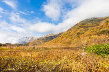日本の風景・秋　栂池高原　紅葉の栂池自然園