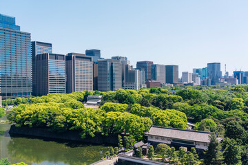 Fototapeta premium 都心から望む大手町・丸の内の都市景観
