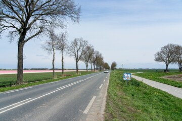 Fototapeta premium Big sky open landscape in the Dutch polder of Flevoland and Noordoostpolder in the Netherlands