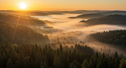 Fototapeta premium Misty Valley in Early Morning