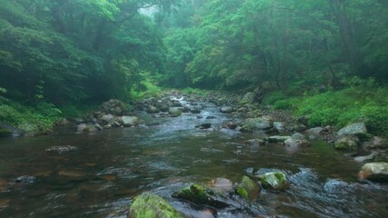 Aerial view of Nature river and forest water stream in Taiwan - Powered by Adobe