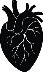 Anatomical Heart Silhouette – Black Vector Illustration for Medical and Health Concepts
