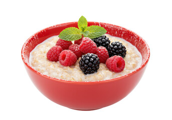 Isolated Bowl of Oatmeal with Berries and Mint Garnish