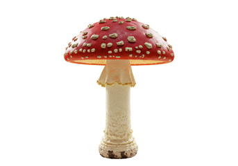 Obraz premium Isolated Red and White Spotted Fly Agaric Mushroom