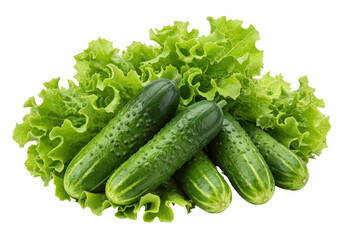 Isolated Green Cucumbers Fresh Salad Vegetable