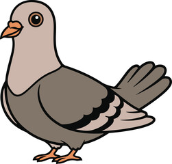 vector illustration of a pigeon