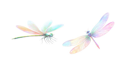 Abstract dragonfly with pastel colors on white background.
