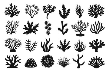 Diverse black coral silhouette collection isolated on transparent background