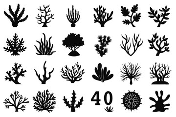 Diverse black coral silhouette collection isolated on transparent background