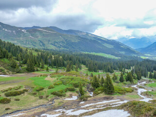 Obraz premium Switzerland, Meiringen, a path with trees on the side of a mountain