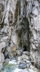 Switzerland, Meiringen, a close up of a rock next to a tree