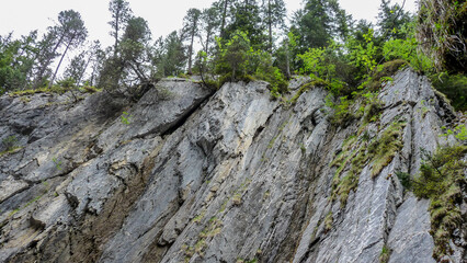Switzerland, Meiringen, a tree on a rocky hill