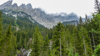 Switzerland, Meiringen, a tree with a mountain in the background