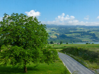 Switzerland, Meiringen, a view of a lush green field