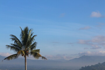natural scenery of mountains, coconut trees.