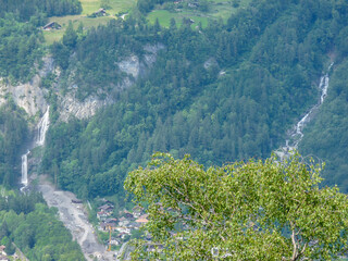 Switzerland, Meiringen, a tree with a mountain in the background