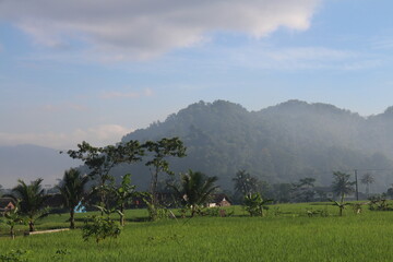 natural scenery, sky, clouds, fog, rice fields, trees and mountains.