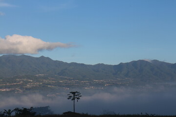 natural scenery, rice fields, plantations, mountain hills.