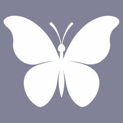 Fototapeta premium butterfly vector illustration