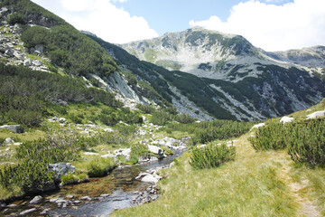 Obraz premium Landscape of Pirin Mountain near Banderitsa Area, Bulgaria