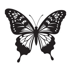 Butterfly vector illustration with colorful wings on white background showing isolated insect in nature