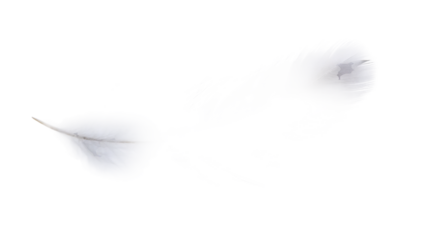 Light Feather Falling