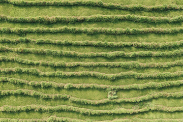 aerial view of ornamental rice terraces in nepal at high noon