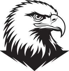 Fototapeta premium Eagle Head Illustration
