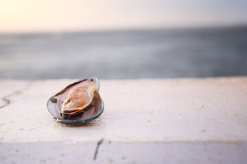 Close up of mussels seafood