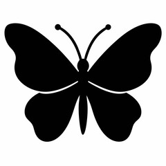 Fototapeta premium butterfly vector illustration