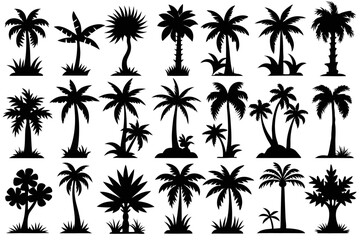Fototapeta premium Tropical palm tree silhouette collection isolated on transparent background