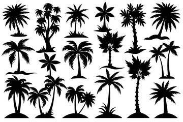 Obraz premium Tropical palm tree silhouette collection isolated on transparent background