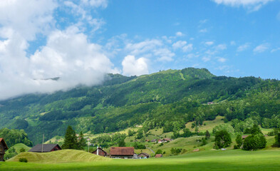 Switzerland, Meiringen, a herd of sheep grazing on a lush green field
