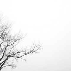 A stark, minimalist image of a bare tree branch against a white, hazy sky