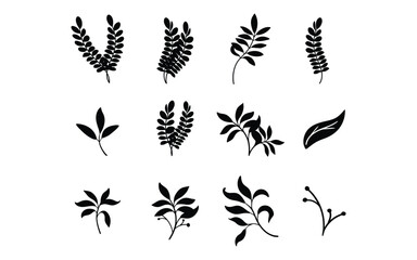 Set of silhouettes branches and leaves design, vector, isolated on transparent background