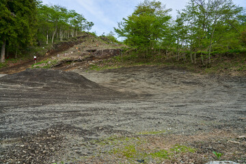 秘密の入り口 - 森の奥に隠された.希望の小道