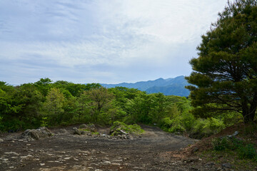 秘密の入り口 - 森の奥に隠された.希望の小道