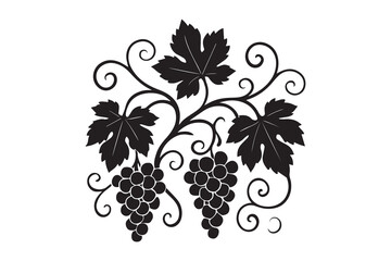Elegant Grape vine silhouette with white background